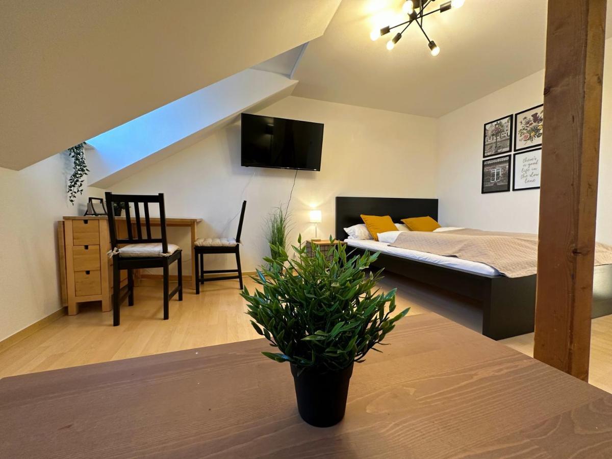 Gemuetliche, Charmante Ferienwohnung Naehe Zentrum Plauen Eksteriør billede